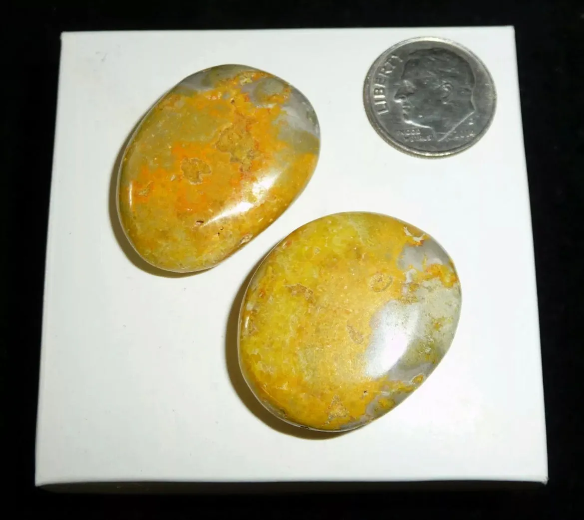 Bumble Bee Jasper Free Form Polished gemstone