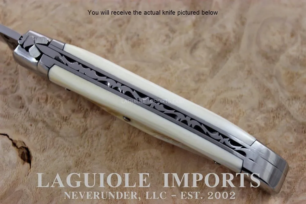 Fontenilles Pataud Laguiole 11cm Warthog Tooth - Forged Bee - Chiseled Spring - Precious Handle