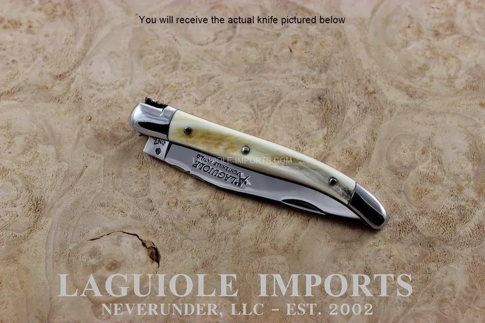 Fontenilles Pataud Laguiole 11cm Warthog Tooth - Forged Bee - Chiseled Spring - Precious Handle