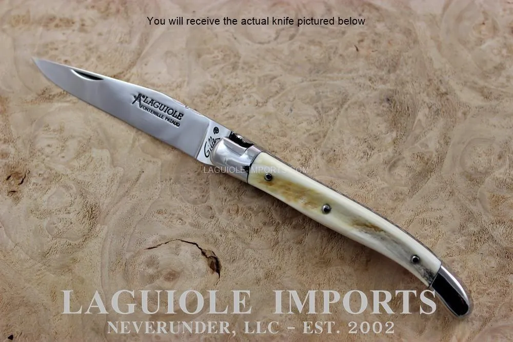 Fontenilles Pataud Laguiole 11cm Warthog Tooth - Forged Bee - Chiseled Spring - Precious Handle