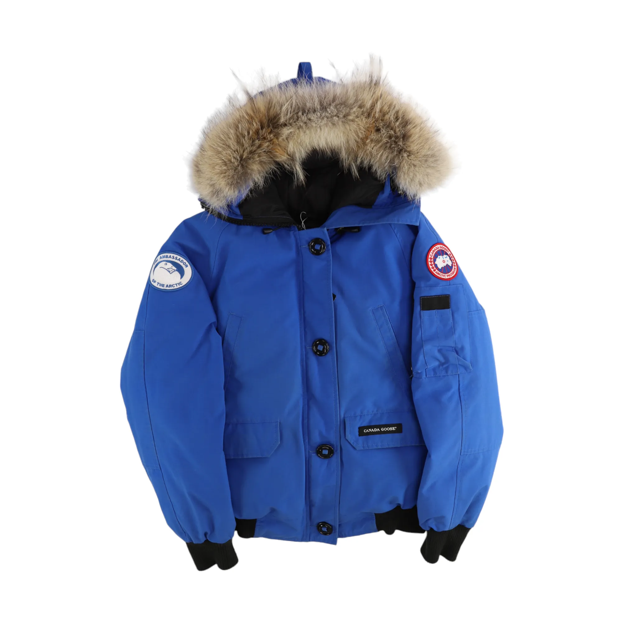 Women's Pbi Chilliwack Down Jacket Blue Size L